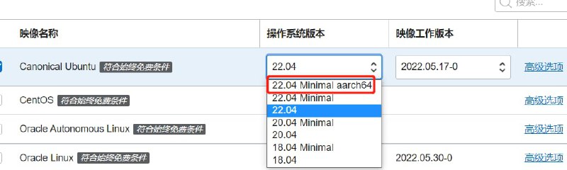 甲骨文ubuntu 22.04 Minimal版（精简版）镜像居然可以强制指定ARM架构